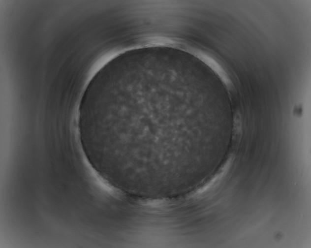 X0000101451047200807071401