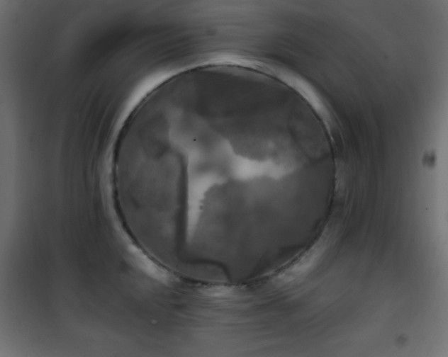 X0000101451048200807071401