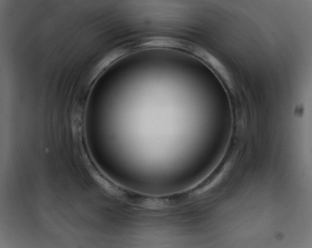 X0000101451049200807071401