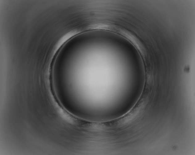 X0000101451050200807071401