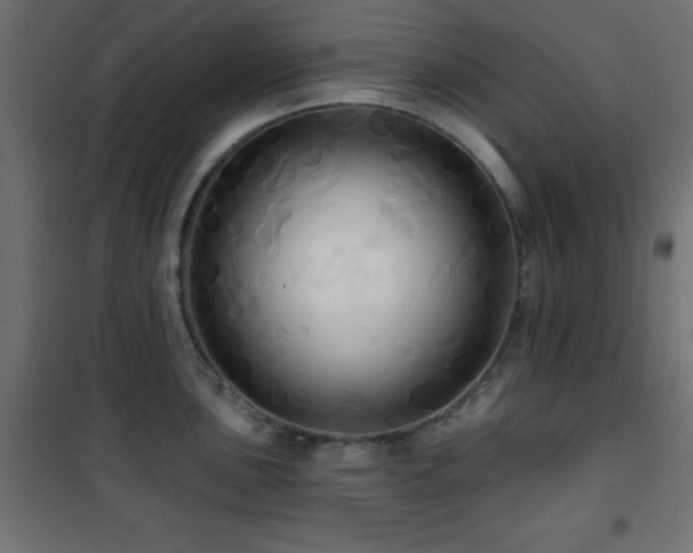 X0000101451051200807071401