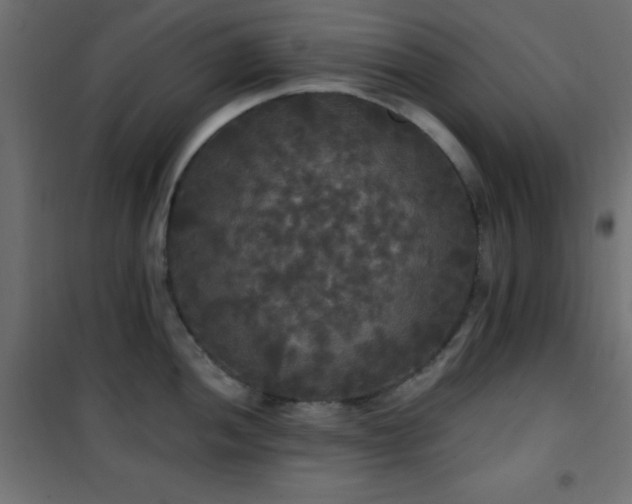 X0000101451052200807071401