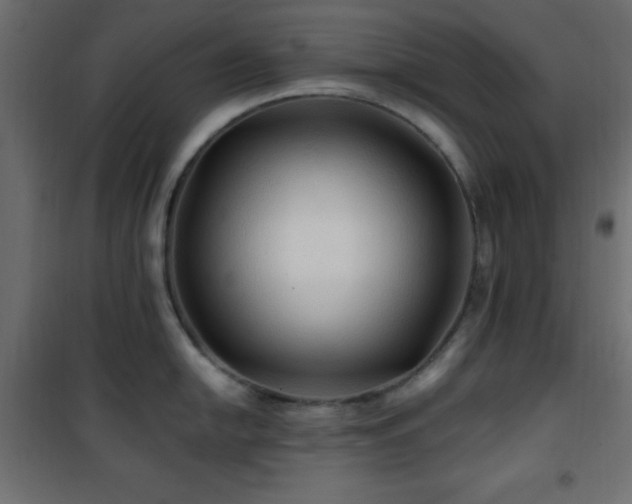 X0000101451054200807071401