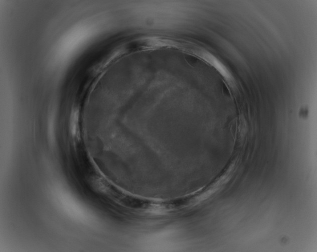 X0000101451055200807071401