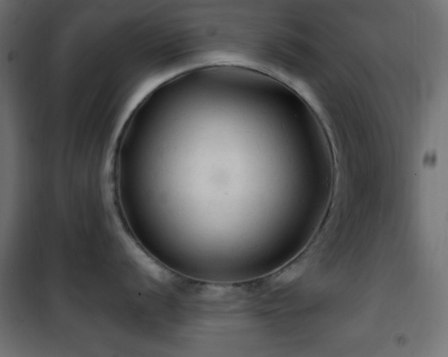 X0000101451056200807071401