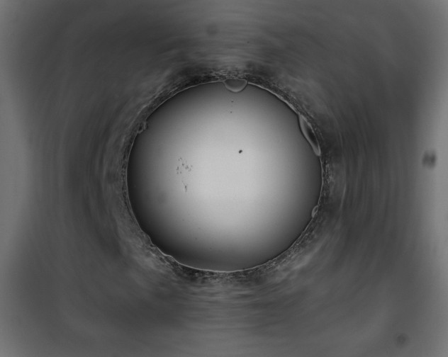 X0000101451057200807071400