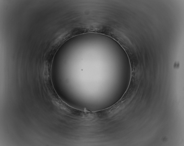 X0000101451058200807071400