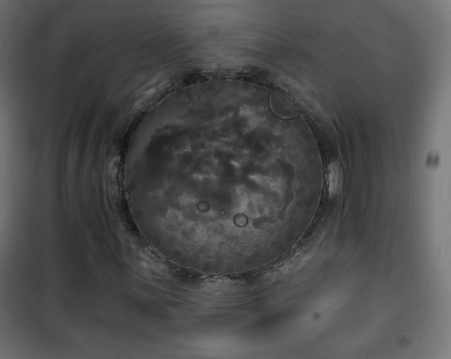 X0000101451059200807071400