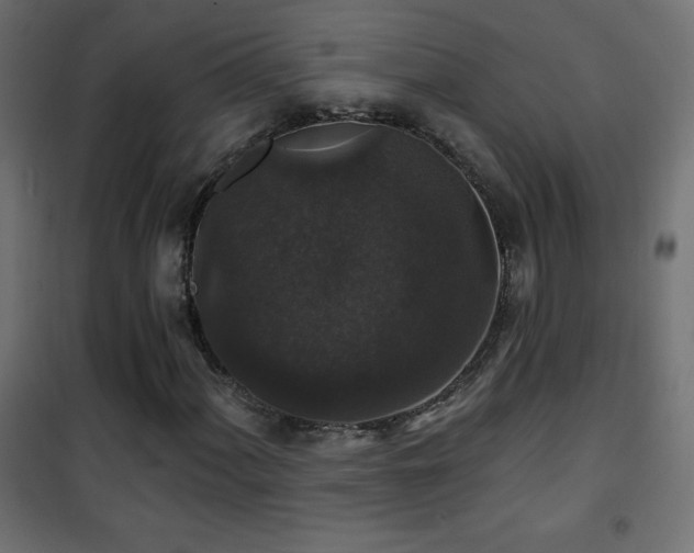 X0000101451060200807071400