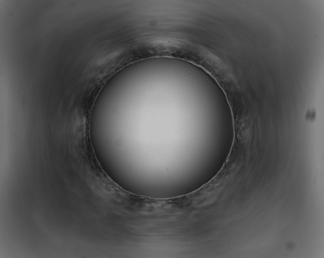 X0000101451061200807071400