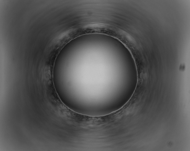 X0000101451062200807071400