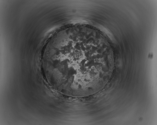 X0000101451063200807071400