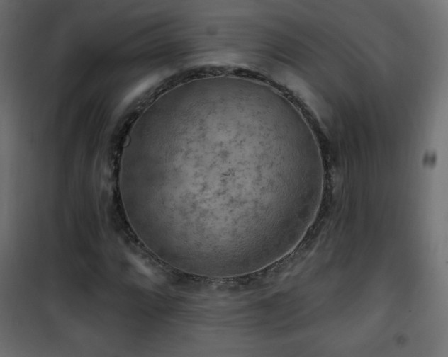 X0000101451064200807071400