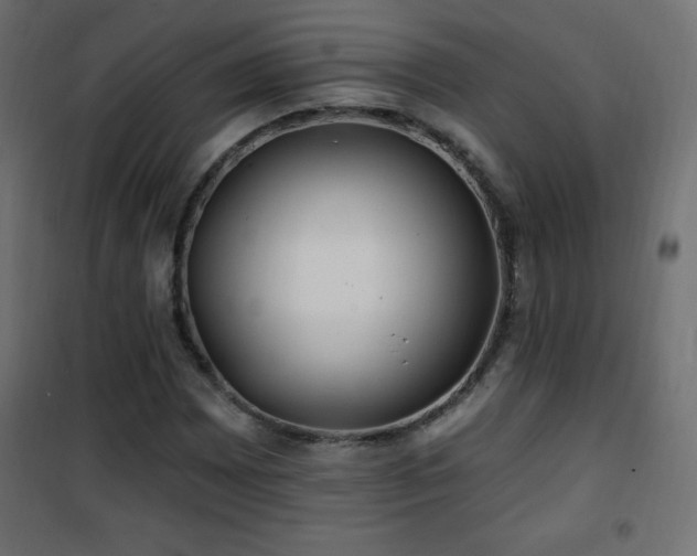 X0000101451065200807071400