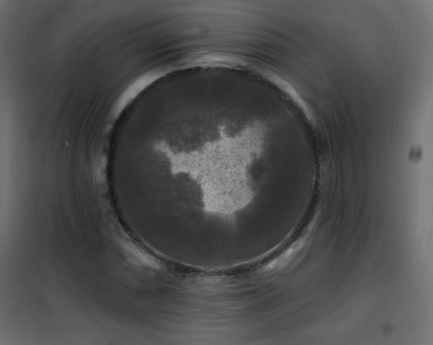 X0000101451066200807071400
