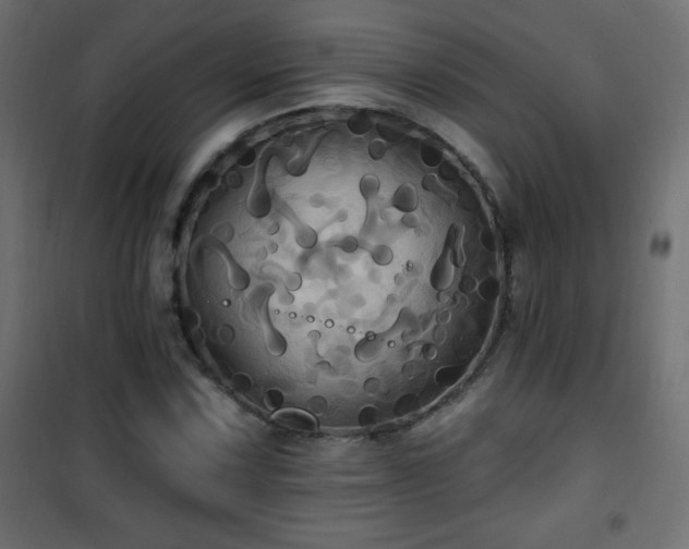 X0000101451067200807071400