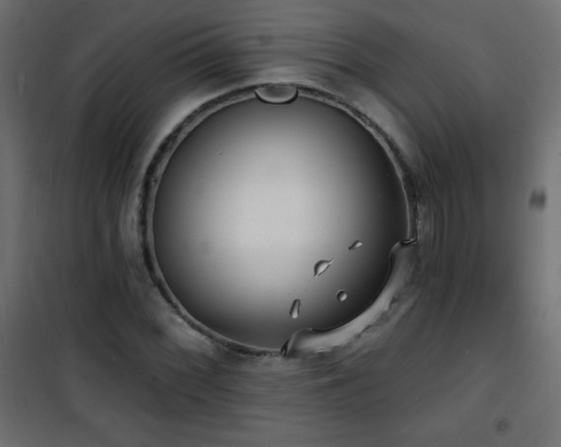 X0000101451068200807071400