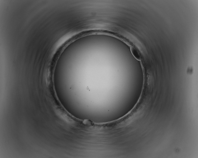 X0000101451069200807071400