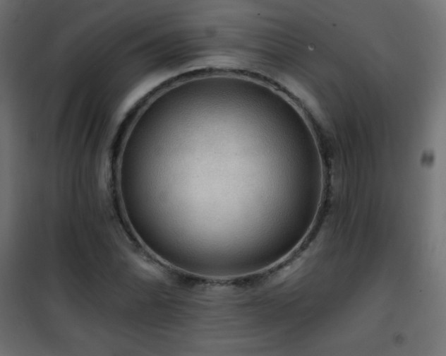 X0000101451070200807071400