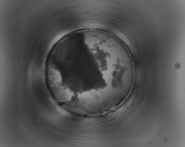 X0000101451071200807071400