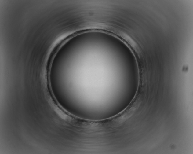 X0000101451072200807071400