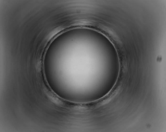 X0000101451073200807071400