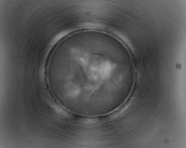 X0000101451074200807071400