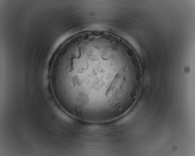 X0000101451075200807071400