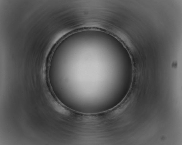 X0000101451076200807071400