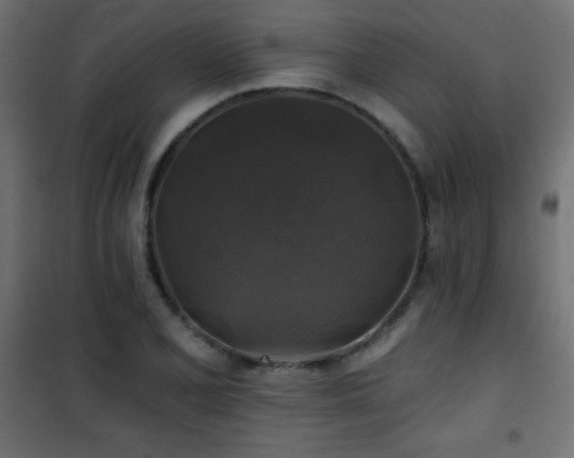 X0000101451077200807071400