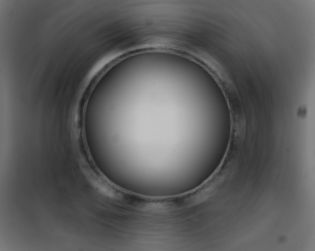 X0000101451078200807071400