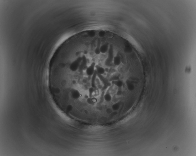 X0000101451079200807071400