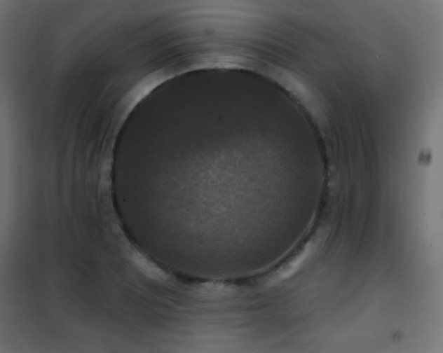 X0000101451081200807071400