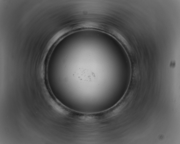 X0000101451082200807071400
