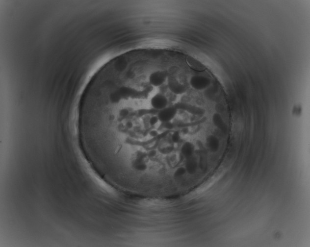 X0000101451083200807071400