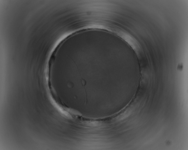 X0000101451084200807071400
