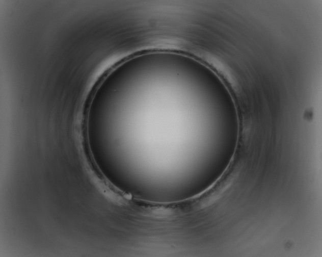 X0000101451085200807071400