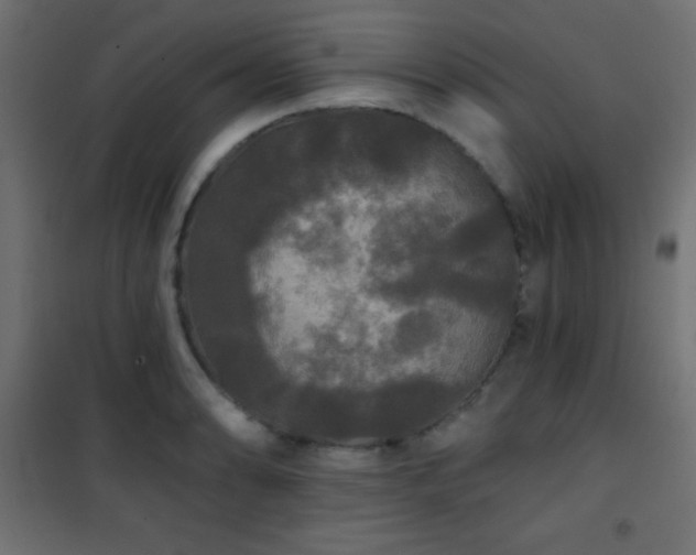 X0000101451086200807071400