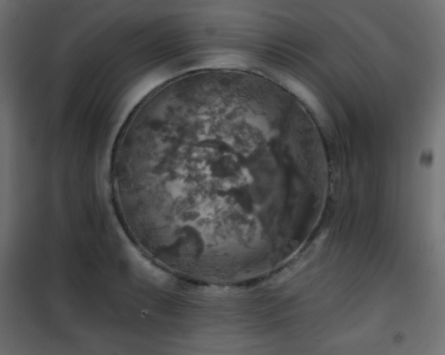 X0000101451087200807071400