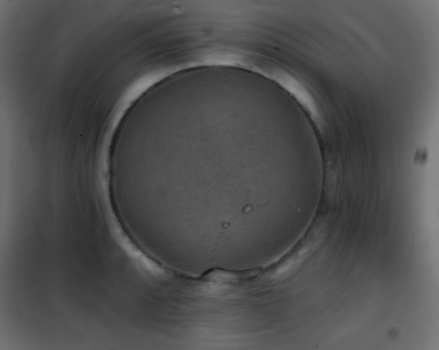 X0000101451088200807071359