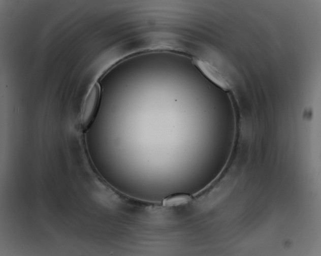 X0000101451089200807071359