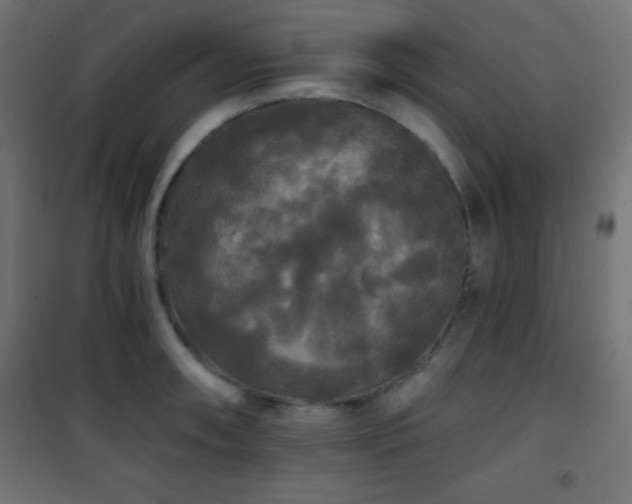 X0000101451090200807071359