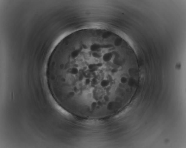 X0000101451091200807071359
