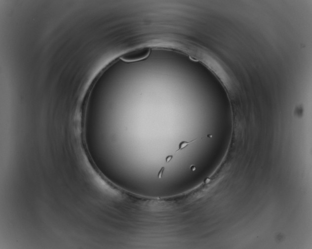 X0000101451092200807071359