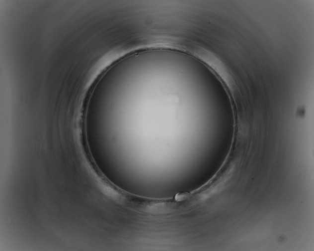 X0000101451093200807071359