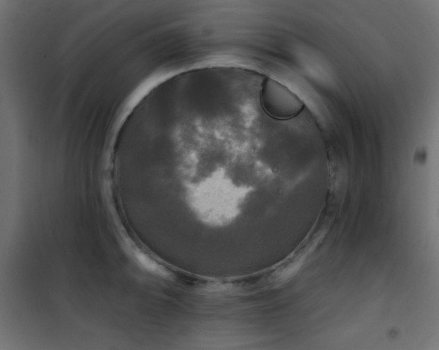 X0000101451094200807071359