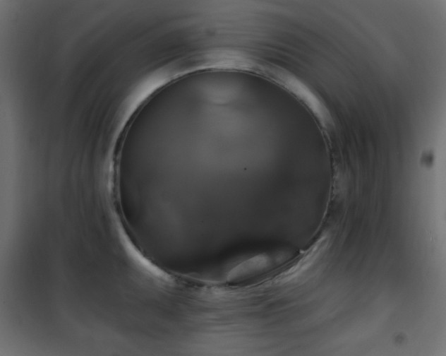 X0000101451095200807071359