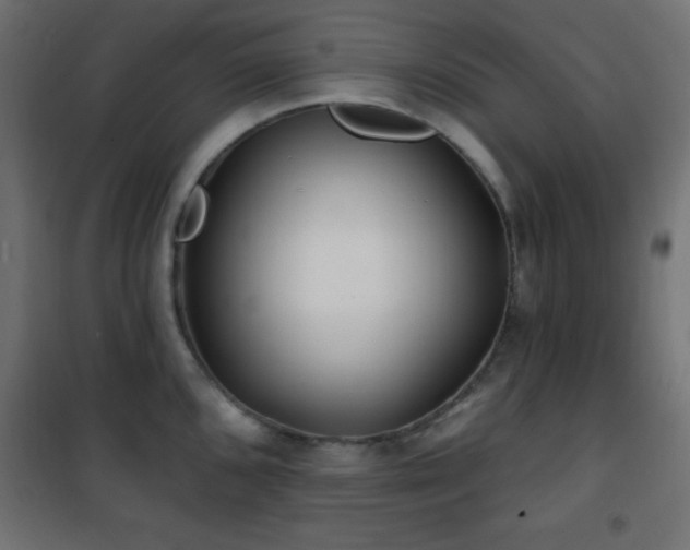 X0000101451096200807071359
