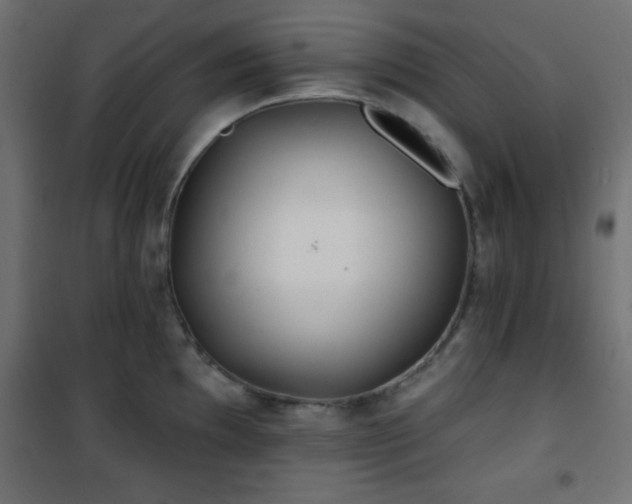 X0000101451097200807071359