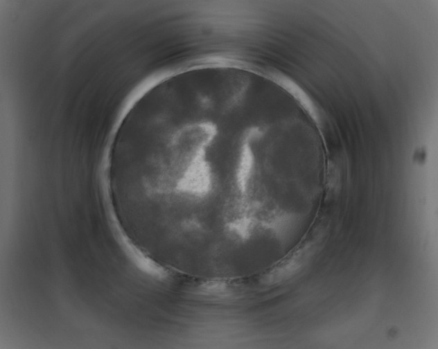 X0000101451098200807071359